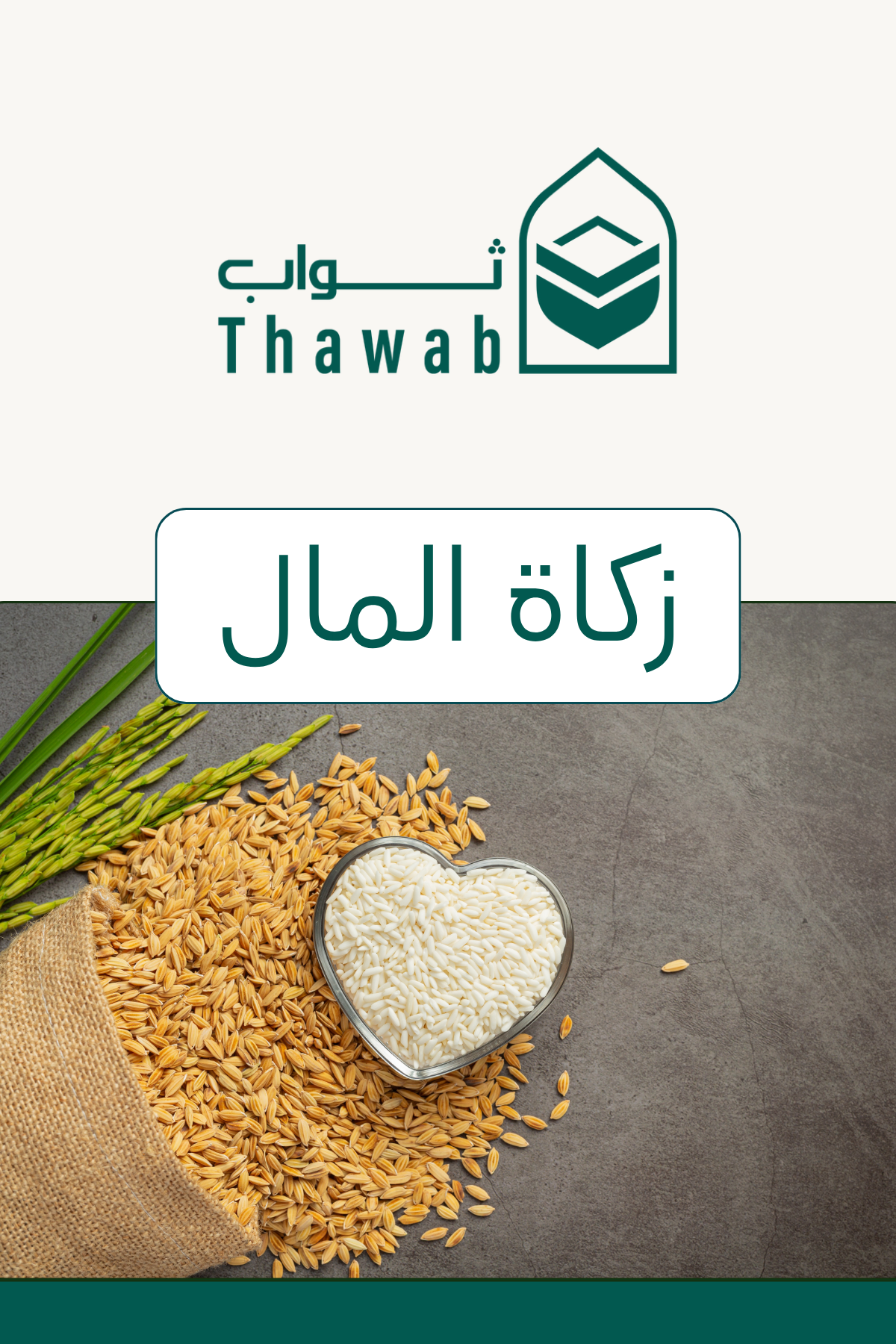 Zakat al-Mal
